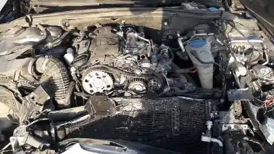 Veicolo di demolizione audi a4 berlina (b8) básico dell'anno 2008 alimentato cag