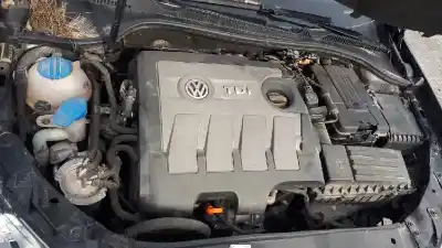 Scrapping Vehicle volkswagen golf vi (5k1) rabbit bluemotion of the year 2011 powered cay