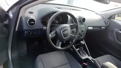 Утилизация автомобиля audi a3 (8p) 1.6 16v fsi года 2004 питание blp