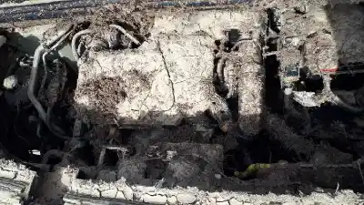 Scrapping Vehicle citroen berlingo feel m of the year 2019 powered yh01