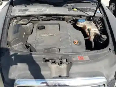 Véhicule à la ferraille audi a6 berlina (4f2) 2.0 tdi de l'année 2005 alimenté blb