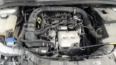 Scrapping Vehicle ford focus lim. ambiente of the year 2016 powered m1dd