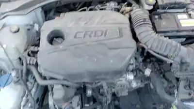 Scrapping Vehicle kia ceed (cd) 1.6 crdi 136 of the year 2021 powered d4fe