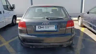 Veículo de Sucata audi a3 (8p) 2.0 tdi do ano 2003 alimentado bkd