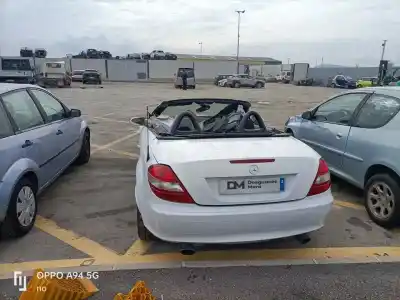 Scrapping Vehicle mercedes-benz clase slk (w171) roadster 350 (171.456) of the year 2004 powered m272963