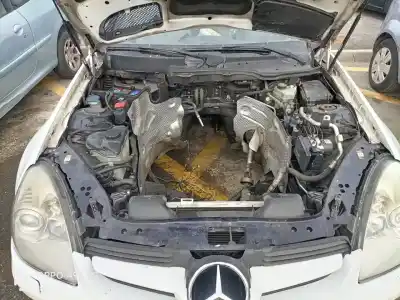 Scrapping Vehicle mercedes-benz clase slk (w171) roadster 350 (171.456) of the year 2004 powered m272963