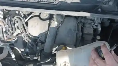 Scrapping Vehicle renault kangoo ii (f/kw0) k9k e6 of the year 2019 powered k9k e6