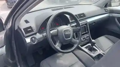 Scrapping Vehicle audi a4 b7 (8ec) 2.0 tdi 16v of the year 2005 powered blb
