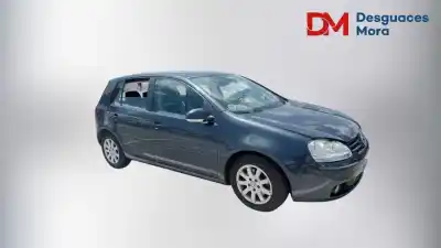 Scrapping Vehicle VOLKSWAGEN GOLF V (1K1)  of the year 2004 powered BGU