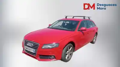 Scrapping Vehicle audi a4 b8 avant (8k5) 2.0 tdi of the year 2010 powered cagc