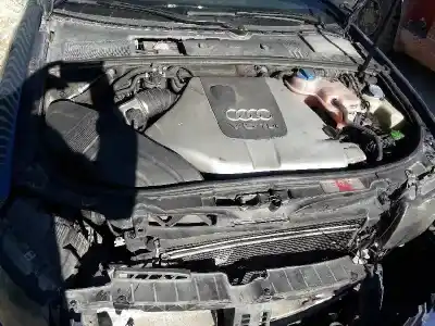 Veicolo di demolizione audi a4 cabrio (8h) 2.5 tdi dell'anno 2004 alimentato bcz