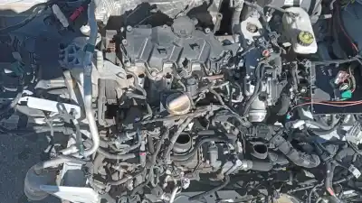 Veículo de Sucata renault kangoo profesional do ano 2021 alimentado 