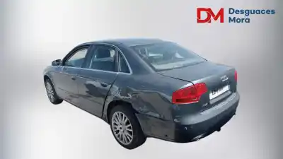 Scrapping Vehicle audi a4 avant (8e) 2.0 tdi of the year 2007 powered bpw