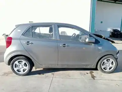 Veículo de Sucata kia picanto (ja) concept do ano 2024 alimentado g3ld