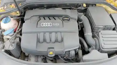 Veículo de Sucata audi a3 (8p) 1.6 ambiente do ano 2004 alimentado bgu