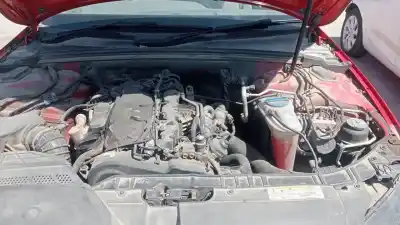 Véhicule à la ferraille audi a4 avant (8k5) (2008) básico de l'année 2010 alimenté cagc