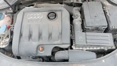 Veículo de Sucata audi a3 (8p) 1.9 tdi do ano 2008 alimentado bxe