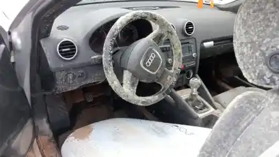 Veículo de Sucata audi a3 (8p) 1.9 tdi do ano 2008 alimentado bxe