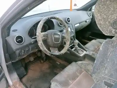 Veículo de Sucata audi a3 (8p) 1.9 tdi do ano 2008 alimentado bxe