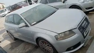 Veículo de Sucata audi a3 (8p) 1.9 tdi do ano 2008 alimentado bxe