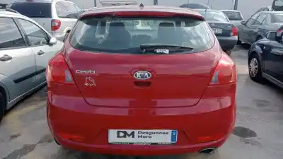 Veicolo di demolizione kia cee´d active dell'anno 2008 alimentato g4fc