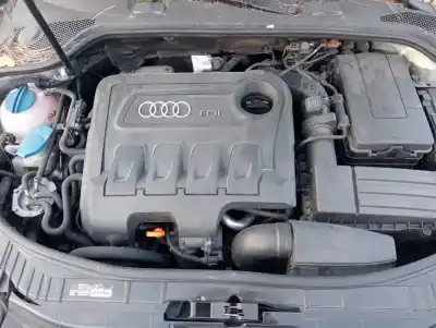 Veículo de Sucata audi a3 (8p) 1.6 tdi ambiente do ano 2011 alimentado cay