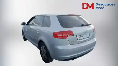 Veículo de Sucata audi a3 (8p) 1.6 tdi ambiente do ano 2011 alimentado cay