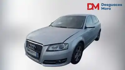 Veículo de Sucata audi a3 (8p) 1.6 tdi ambiente do ano 2011 alimentado cay