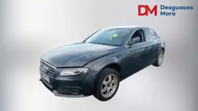 Veicolo di demolizione audi a4 berlina (b8) básico dell'anno 2010 alimentato cgka