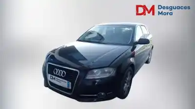 Veículo de Sucata audi a3 (8p) 1.6 tdi ambiente do ano 2011 alimentado cay