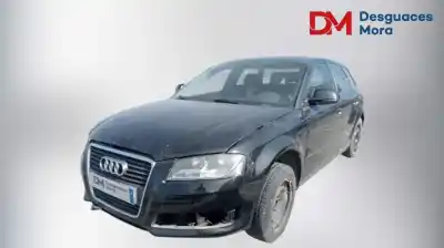 Hurda Aracı audi a3 (8p) 1.6 tdi ambiente yılın 2010 güçlü cay