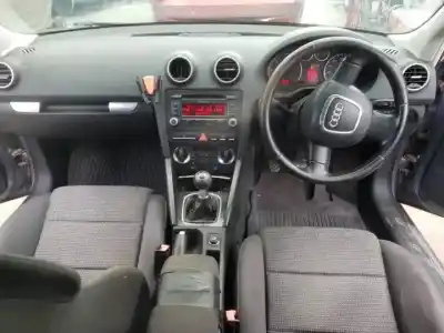 Scrapping Vehicle audi a3 (8p) bkd of the year 2003 powered 