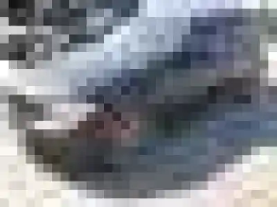 Veículo de Sucata BMW SERIE 3 BERLINA (E90) 306D3 do ano 2005 alimentado 