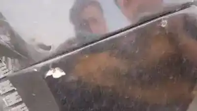 Veículo de Sucata ford galaxy (ca1) qxwa do ano 2007 alimentado 