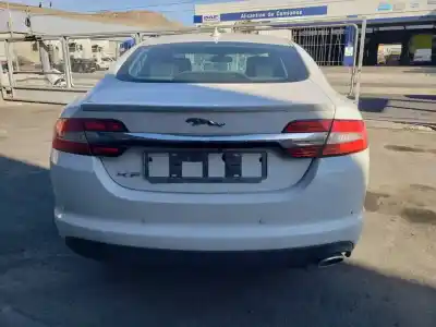 Veicolo di demolizione jaguar                                             xf i (x250)                                                                                                                                                                                                                                                2.2 d                                                                                                                                                                                                                                                      dell'anno 2013 alimentato 224dt