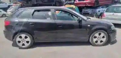 Veículo de Sucata audi a3 sportback (8p) bkd do ano 2004 alimentado 