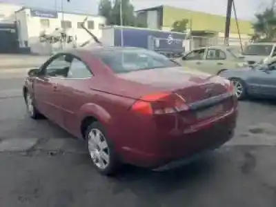 Scrapping Vehicle ford focus cabrio (ca5) g6dg of the year 2006 powered 