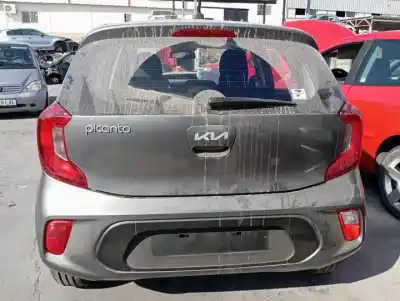Scrapping Vehicle kia picanto (ja) g3ld of the year 2017 powered 