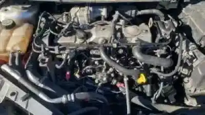 Veículo de Sucata ford focus berlina (cap) d/kkda do ano 2005 alimentado 