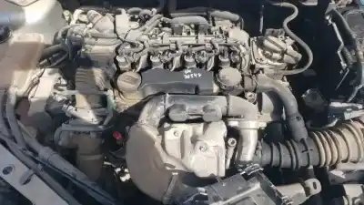 Veículo de Sucata ford focus berlina (cap) d/hhda do ano 2005 alimentado 