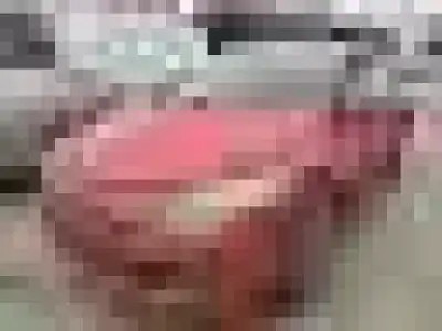 Scrapping Vehicle RENAULT MEGANE III BERLINA 5 P K4M858 of the year 2008 powered 