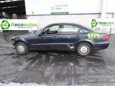Veículo de Sucata MERCEDES-BENZ CLASE E (W211) BERLINA 2.2 CDI CAT do ano 2003 alimentado 646961