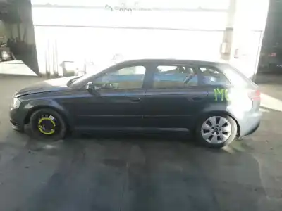 Vehículo de desguace AUDI                                               A3 (8P)                                                                                                                                                                                                                                                    1.9 TDI Ambiente                                                                                                                                                                                                                                           del año 2008 con motor BXE