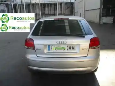 Veículo de Sucata audi a3 (8p) 1.9 tdi ambiente do ano 2003 alimentado bkc Veículo de Sucata audi a3 (8p) 1.9 tdi ambiente do ano 2003 alimentado bkc
