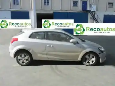 Veículo de Sucata kia pro cee´d (ed) 1.6 crdi 90 do ano 2009 alimentado d/d4fb-w