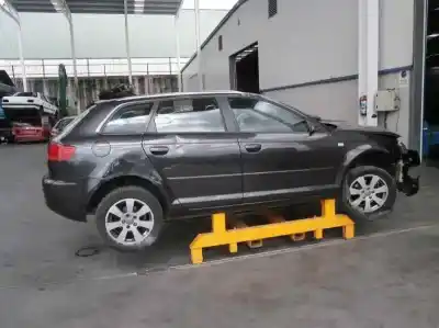 Scrapping Vehicle audi a3 (8p) 2.0 tdi of the year 2005 powered bkd