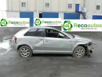 Veículo de Sucata audi a3 (8p) 1.6 102 cv / 75 kw do ano 2003 alimentado bgu