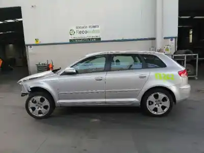 Vehículo de desguace AUDI A3 (8P) 2.0 TDI del año 2004 con motor BKD