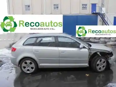 Veículo de Sucata audi a3 (8p) 2.0 tdi do ano 2005 alimentado bkd