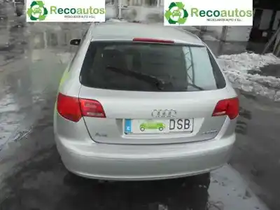 Veículo de Sucata audi a3 (8p) 2.0 tdi do ano 2005 alimentado bkd